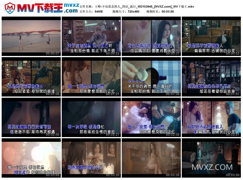 王峰-不该思念的人_国语_流行_MD103945